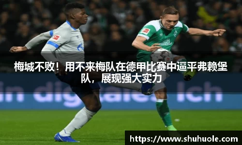 yy易游体育