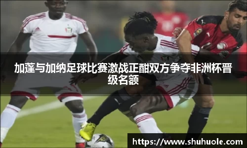 加蓬与加纳足球比赛激战正酣双方争夺非洲杯晋级名额