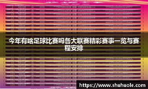 今年有啥足球比赛吗各大联赛精彩赛事一览与赛程安排