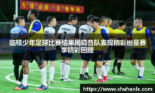 临桂少年足球比赛结果揭晓各队表现精彩纷呈赛季精彩回顾