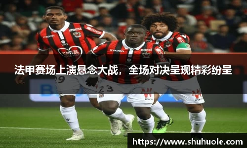 法甲赛场上演悬念大战，全场对决呈现精彩纷呈