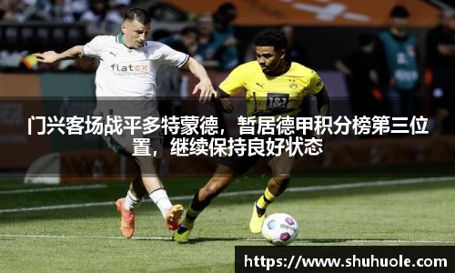 yy易游体育官网