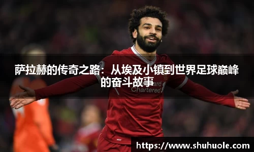 yy易游体育官网
