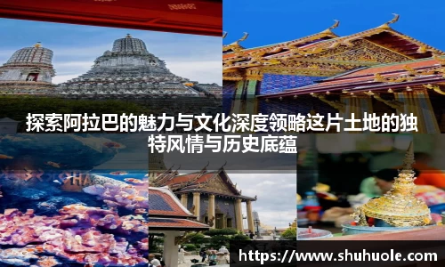yy易游体育官网